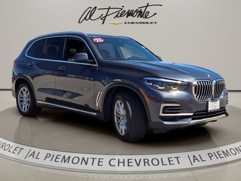 2022 BMW X5 xDrive40i in Arctic Gray Metallic — front three-quarter view